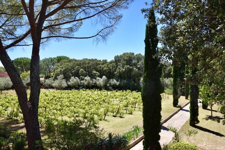 Domaine AbracadaRoom : Bungalow dans les arbres - Image 8