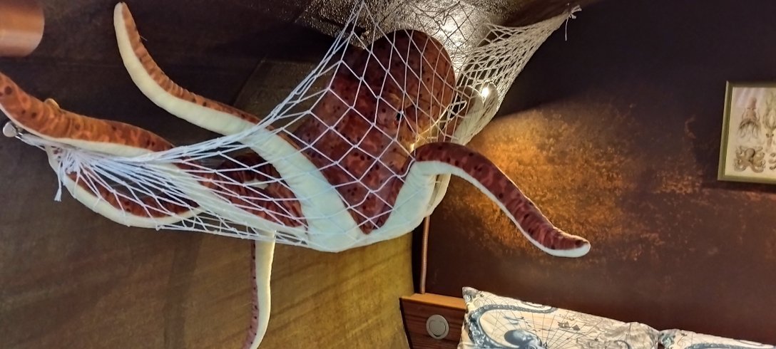 Hébergement AbracadaRoom : Le Nautilus & Sauna privatif - Image 17