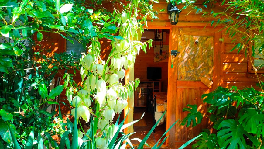 Hébergement AbracadaRoom : Tiny Garden – Parenthèse nature et sérénité - Image 1