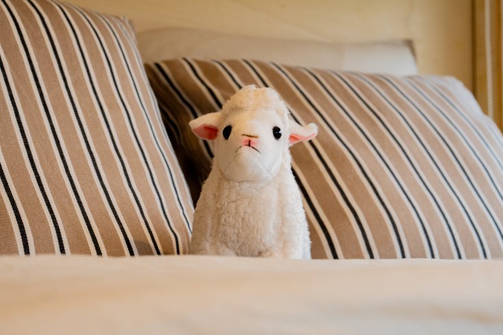 Hébergement AbracadaRoom : Belvédère du Haut Bugey - Refuge dans les cépages - Image 23