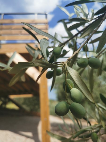 Domaine AbracadaRoom : Clots Das Vignes, nuits insolites - Image 2