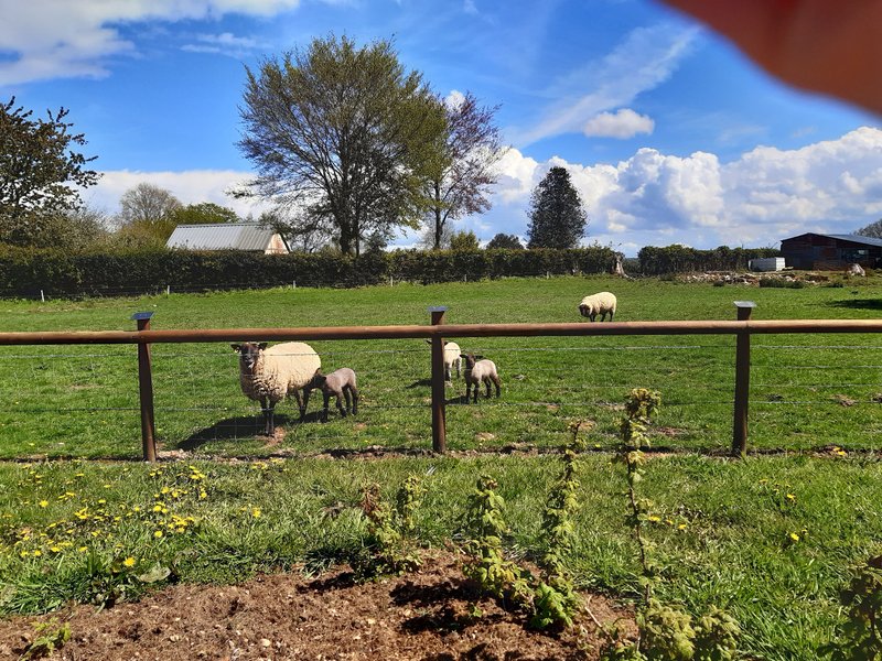 Domaine AbracadaRoom : L'insolit Ô Verger - Image 4