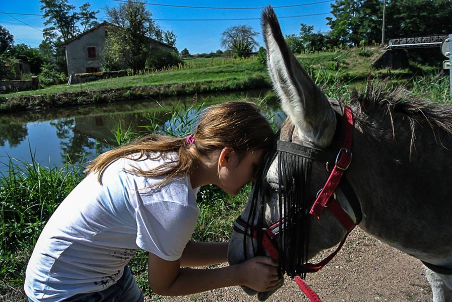 ane_toue_accostee_demoiselle