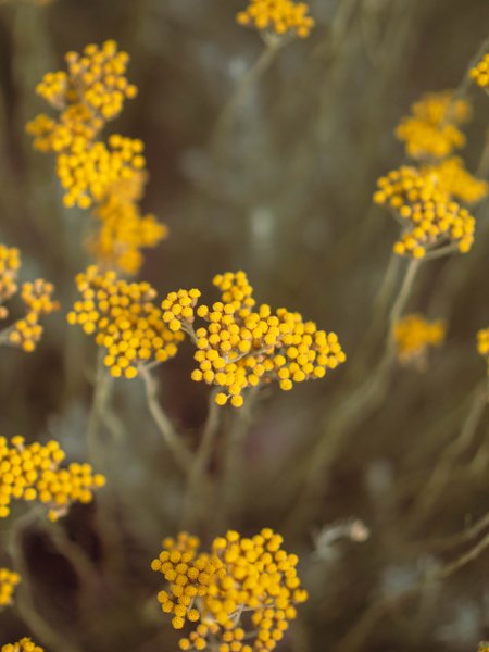 Domaine AbracadaRoom : Domaine Les Grandes Marges - Image 10