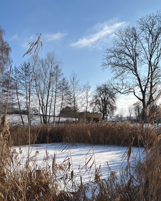 La Cabane Pain d'Épices à Ruederbach (16)