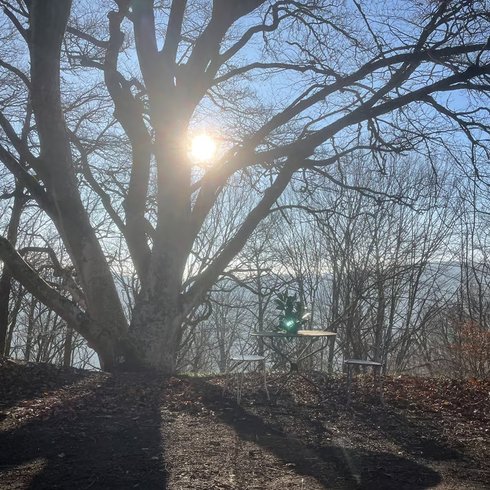 Domaine AbracadaRoom : Le Refuge d'Yzeron - Image 41