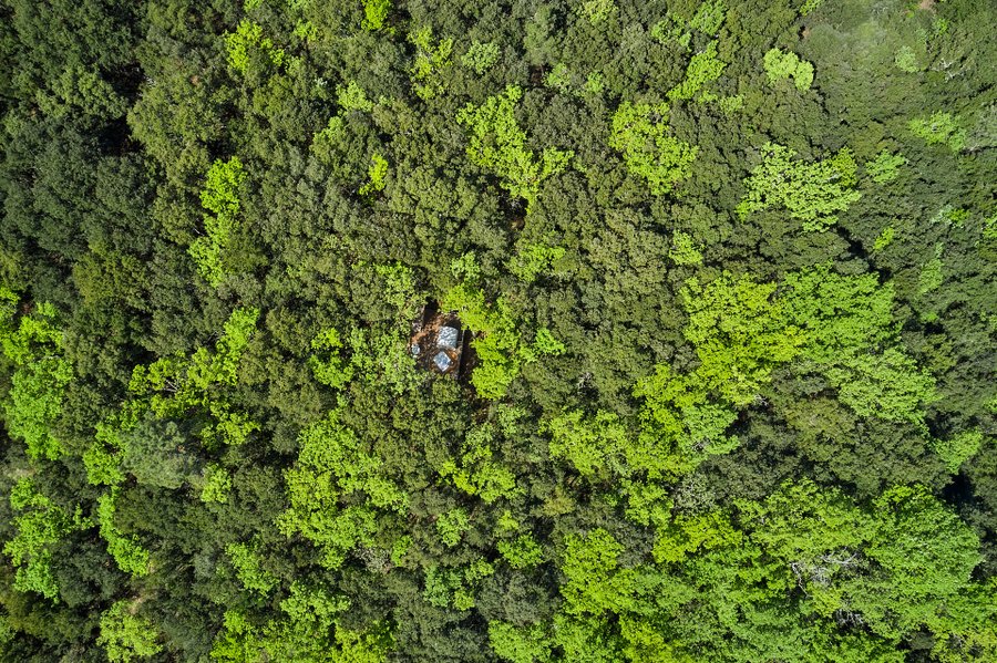 Domaine AbracadaRoom : Le Mas du Bois Barbeau - Image 6