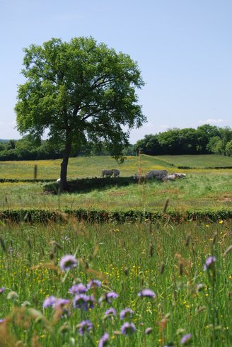Domaine AbracadaRoom : La Grange Agitée - Image 2