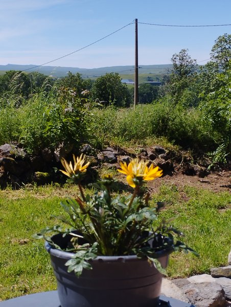 Hébergement AbracadaRoom : La Roulotte  Romantique du P'tit Buron - Image 16