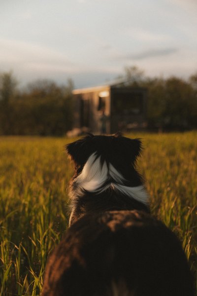 Hébergement AbracadaRoom : Parcel Tiny House - dans un verger en Lorraine - Image 17