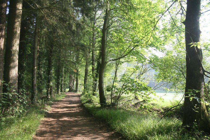Hébergement AbracadaRoom : Cabane Familiale Verrière - Image 13