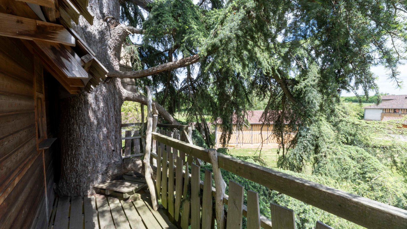 Cabane au Cédre du Bonheur à Cravencères (19)