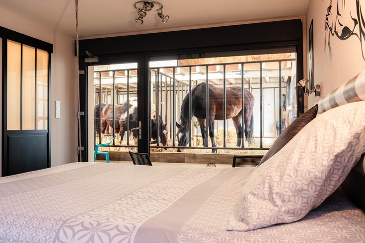 Hébergement AbracadaRoom : Gîte complet 5 Lodges  15 couchages - Image 10