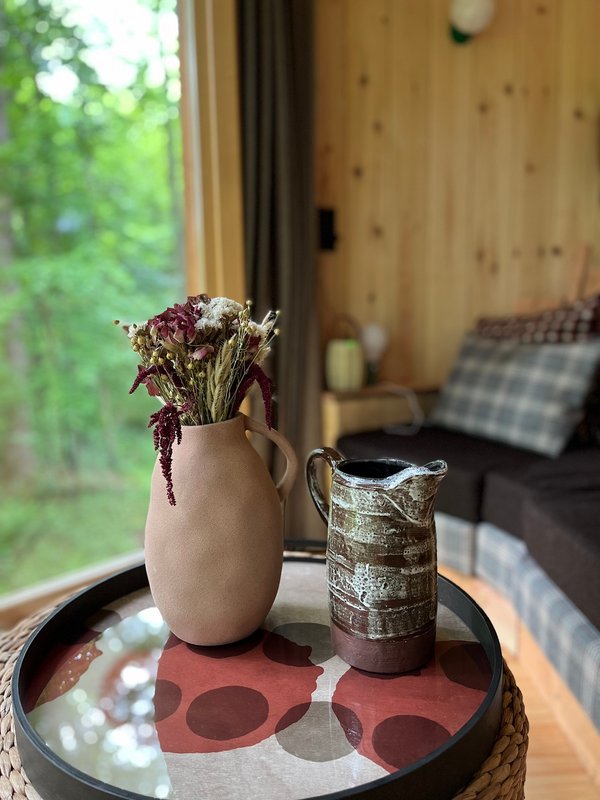 Cabane Spa Plus Complice à Raray (14)