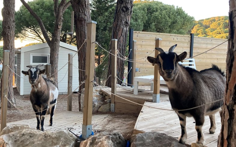 Domaine AbracadaRoom : Ushuaïa Village Figurotta - Image 10