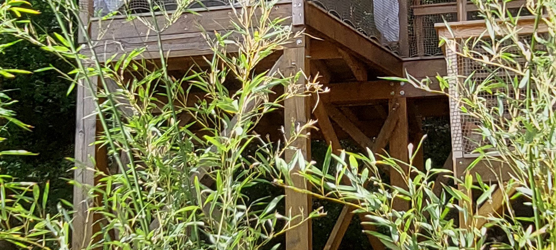 Cabane perchée BLOOMA & Spa à Sarrant (10)