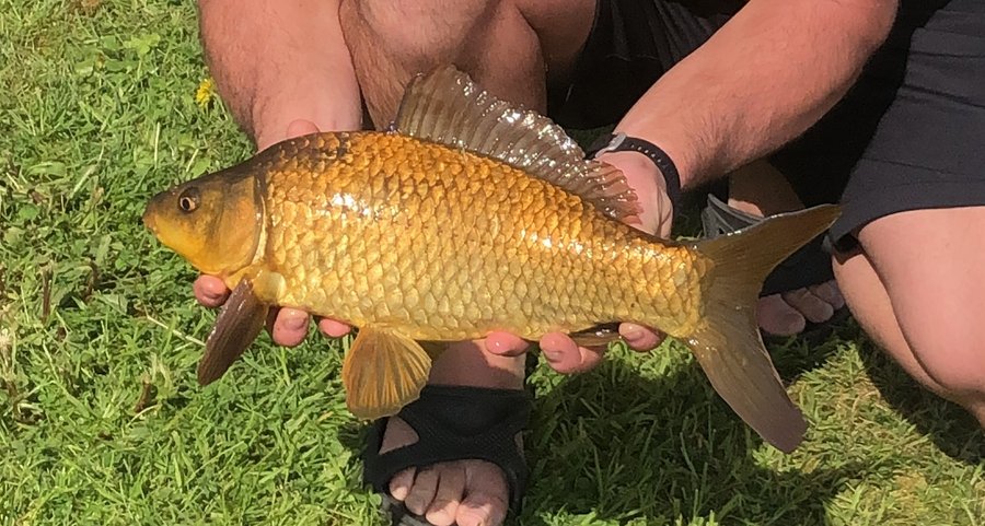 Domaine AbracadaRoom : LAC SAINT GEORGES, Village vacances & Camping - Image 4