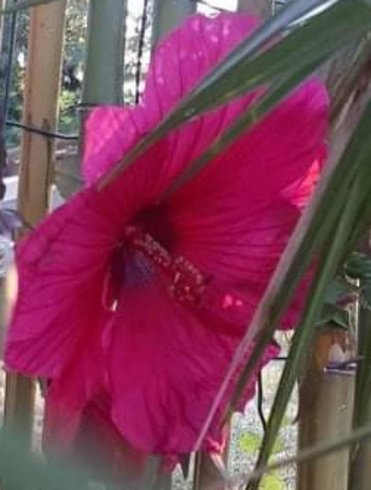 Hébergement AbracadaRoom : Bulle Mystique - Image 18