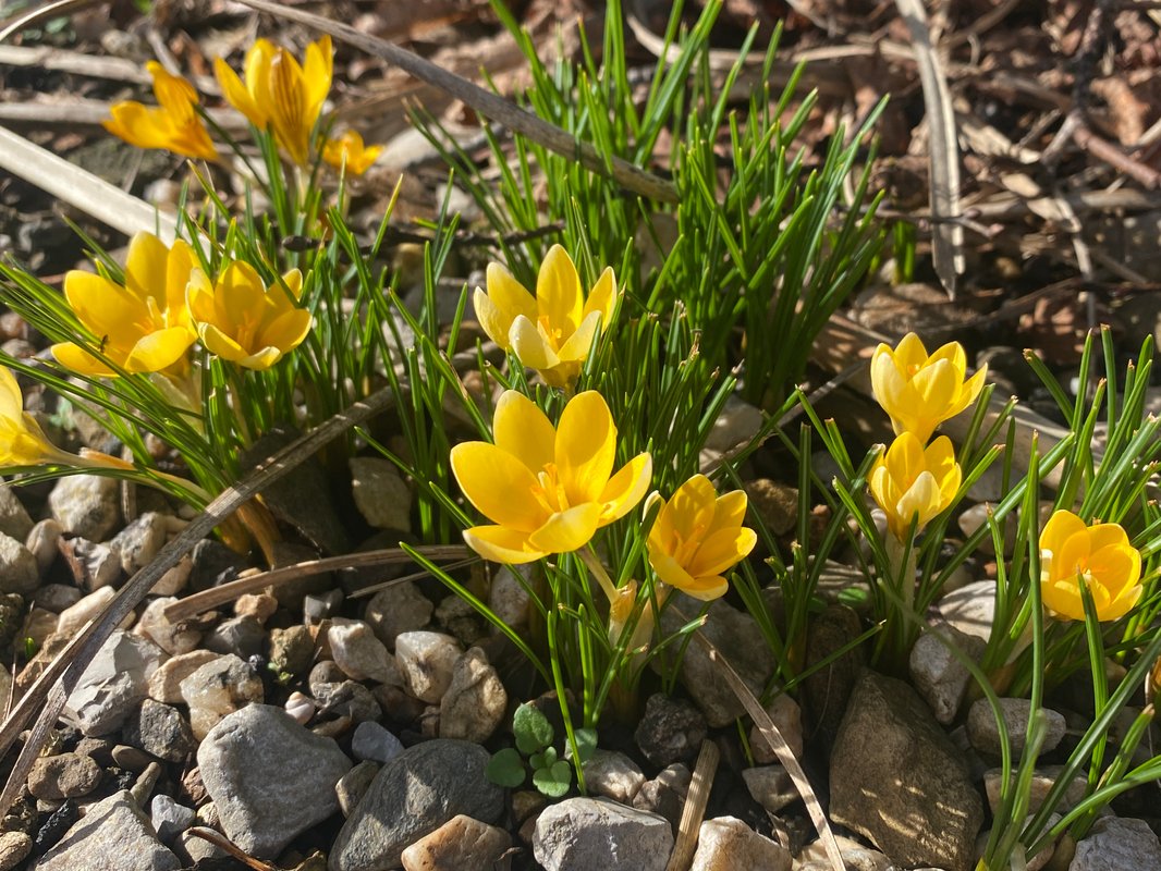 La Cabane Aéloria & Spa à Robiac-Rochessadoule (38)