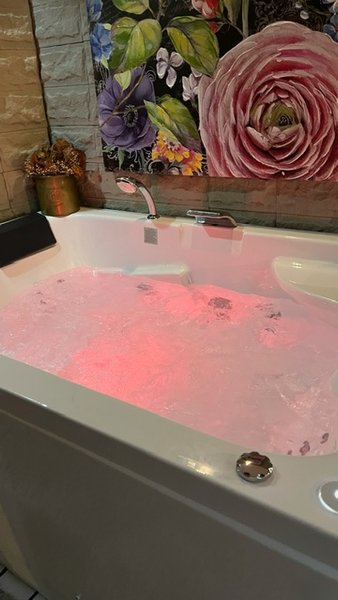 Hébergement AbracadaRoom : Cabane Romantique Du Jardin Balnéothérapie - Image 23