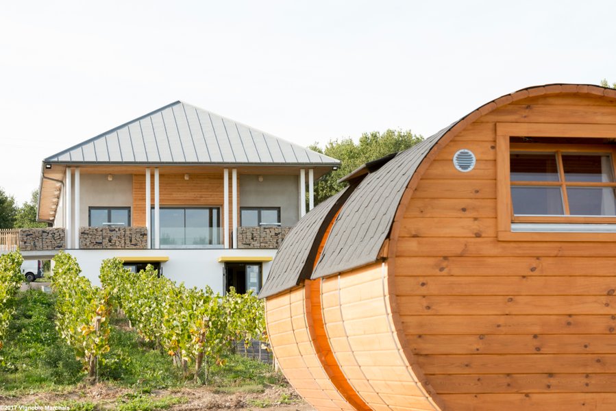 Domaine AbracadaRoom : Vignoble Marchais - Image 7