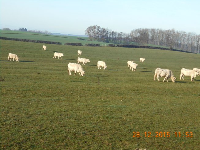 Domaine AbracadaRoom : Domaine du Pré Vert - Image 1
