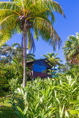 Domaine AbracadaRoom : Piton Bungalows Écolodges - Image 11