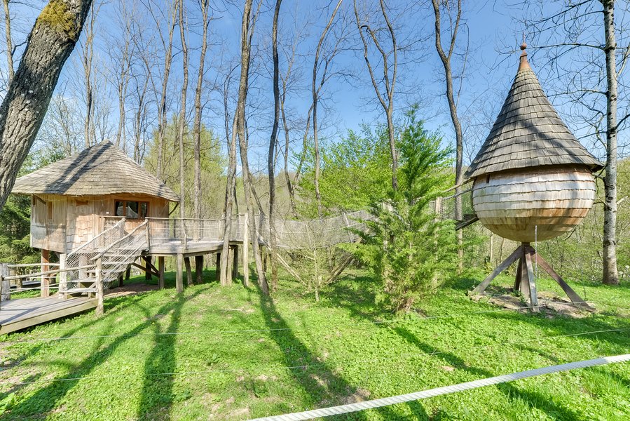 Hébergement AbracadaRoom : Cabane des Acacias - Image 2