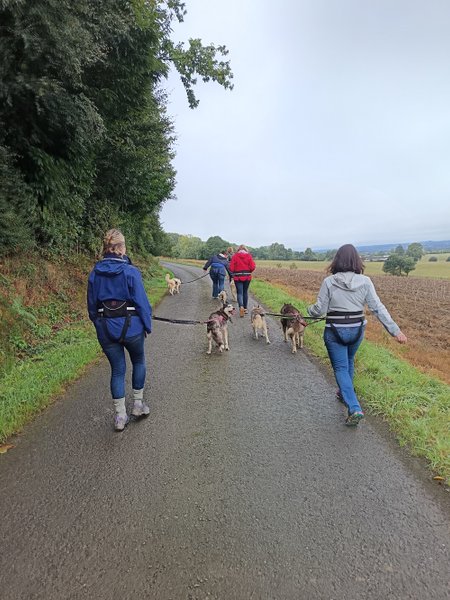 Hébergement AbracadaRoom : Le Ranch Normand - Image 14