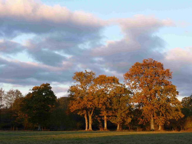 Domaine AbracadaRoom : Domaine de la Boderie - Image 6