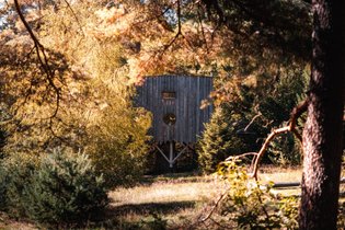 Cabane dans les arbres Vosges