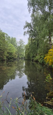 Hébergement AbracadaRoom : Dans un arbre perché - Image 27