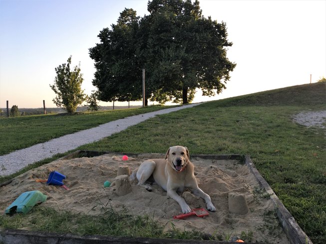 Domaine AbracadaRoom : Casa Sana - Image 10