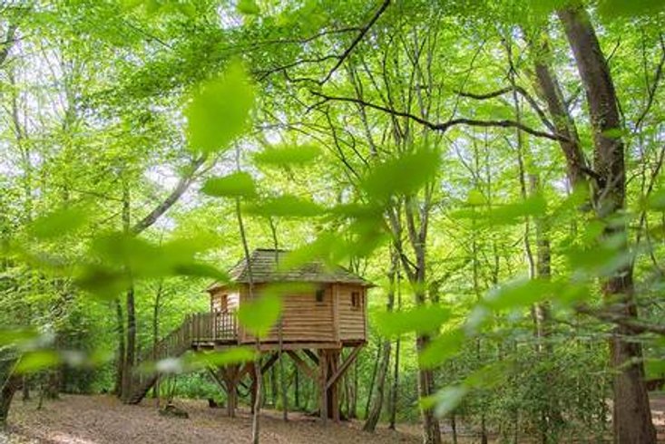 Hébergement AbracadaRoom : La Folie des Grandeurs - Image 7