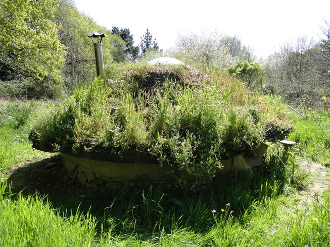 Domaine AbracadaRoom : The International Love-Shack Camp - Image 3