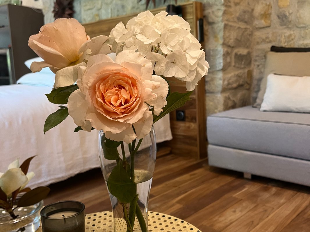 BOISBOLCHET ECOLODGE & SPA à Bouillargues (38)
