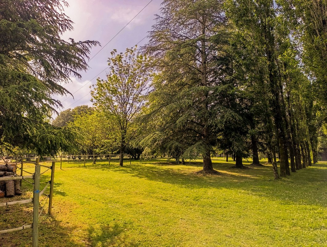 ※ Homnest ※ Clos de L'estuaire ※ Golfe de Gascogne à Mortagne-Sur-Gironde (3)