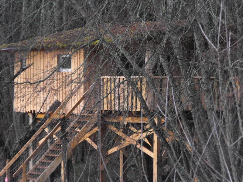 Hébergement AbracadaRoom : Cabane des Cerfs - Image 4