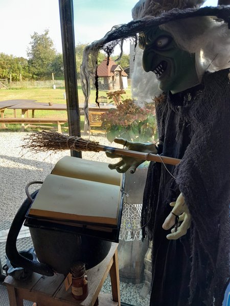 Hébergement AbracadaRoom : Cabane des Elfes - Image 25