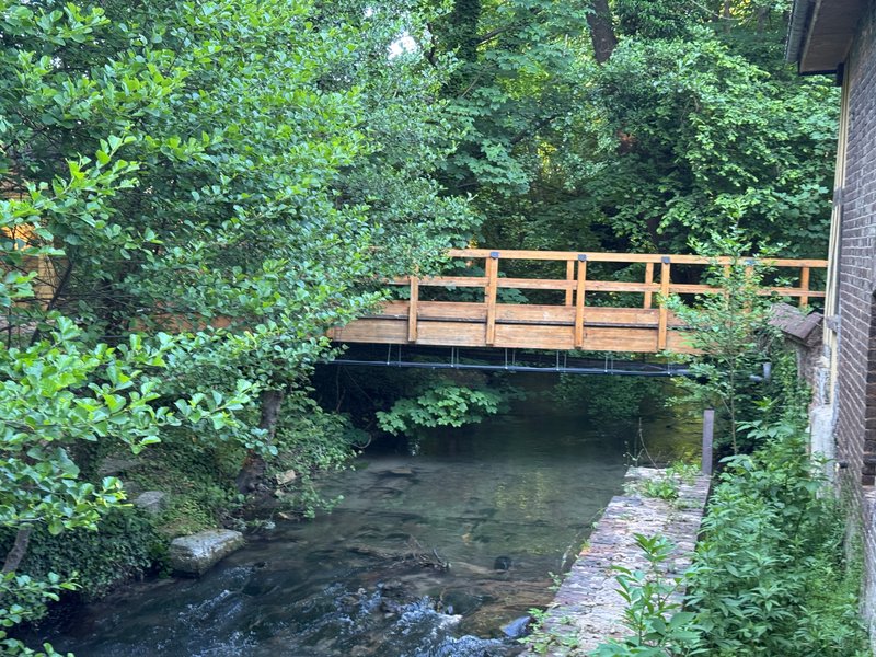 Domaine AbracadaRoom : L'île Merveilleuse - Image 12