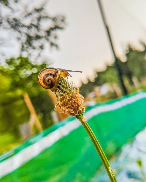 Hébergement AbracadaRoom : L’Escargoterie de la Forge - Immersion Champêtre - Image 49