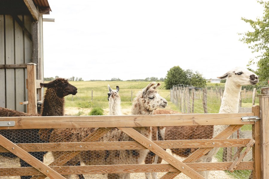Hébergement AbracadaRoom : Parcel Tiny House - à 5 min du Zoo de Beauval - Image 20