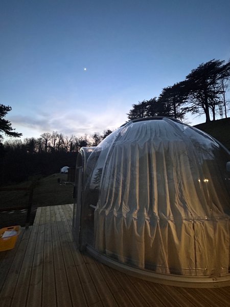 Hébergement AbracadaRoom : Bulle DODO LODGE - 2 - Image 5