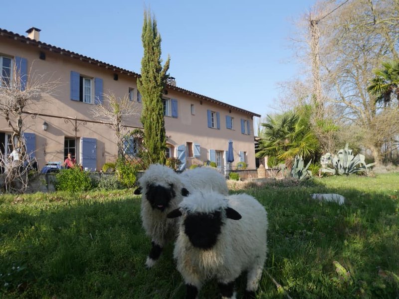 Hébergement AbracadaRoom : La Roulotte du Centre Agro Environnemental de Brassacou - Image 3