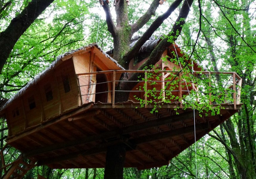 Hébergement AbracadaRoom : Clairière - Image 5