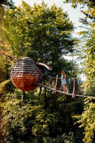 Hébergement AbracadaRoom : Cabane Spa Cocoon Étoilé - Image 6