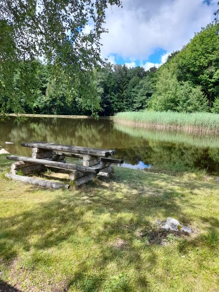 Domaine AbracadaRoom : TINY DES ETANGS - Image 5