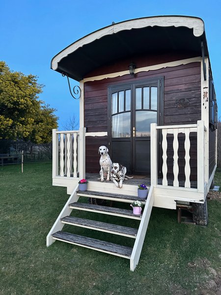 Hébergement AbracadaRoom : Roulotte Lily - Image 1