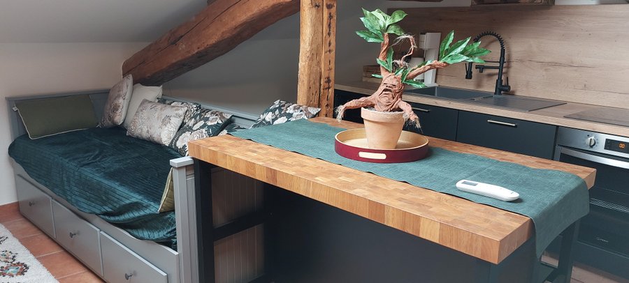 Hébergement AbracadaRoom : Le Sanctuaire des Sorciers - Image 24