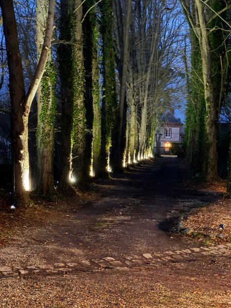 Domaine AbracadaRoom : L'île Merveilleuse - Image 9
